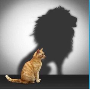 Meet your Posher, Florence